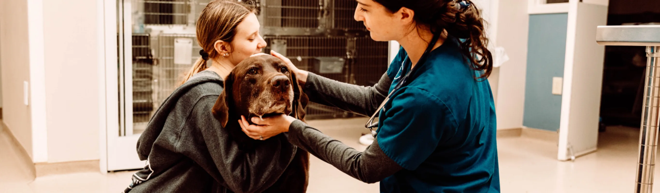 Two veterinarians petting a dog 